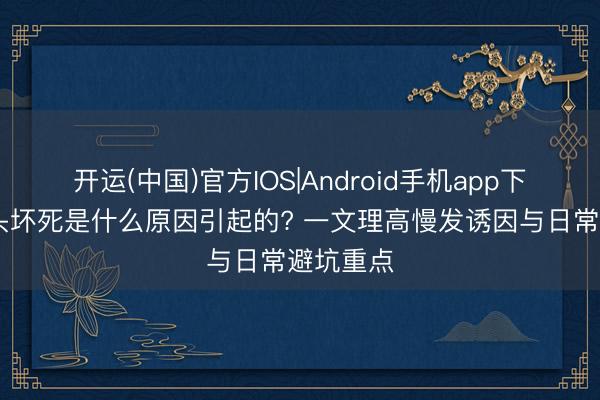 开运(中国)官方IOS|Android手机app下载 股骨头坏死是什么原因引起的? 一文理高慢发诱因与日常避坑重点