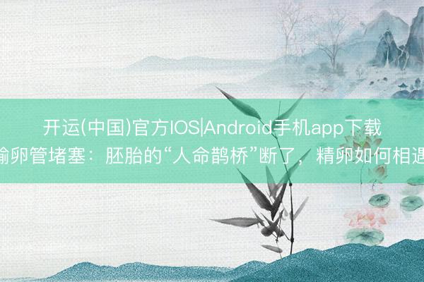 开运(中国)官方IOS|Android手机app下载 输卵管堵塞：胚胎的“人命鹊桥”断了，精卵如何相遇？
