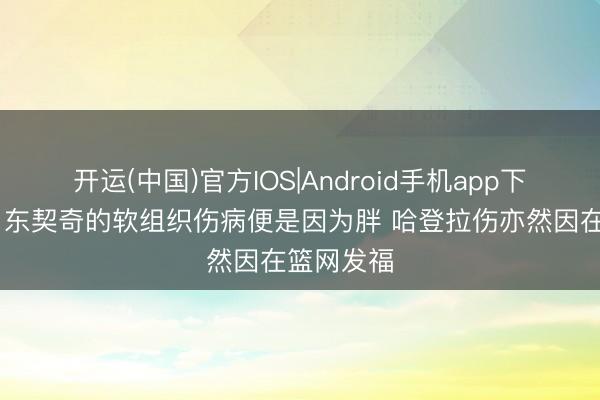 开运(中国)官方IOS|Android手机app下载 弗莱：东契奇的软组织伤病便是因为胖 哈登拉伤亦然因在篮网发福