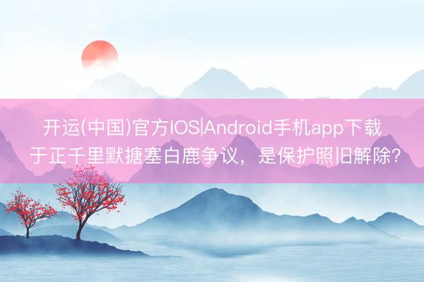 开运(中国)官方IOS|Android手机app下载 于正千里默搪塞白鹿争议，是保护照旧解除？