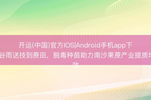 开运(中国)官方IOS|Android手机app下载 谷雨送技到蔗田，脱毒种苗助力南沙果蔗产业提质增效