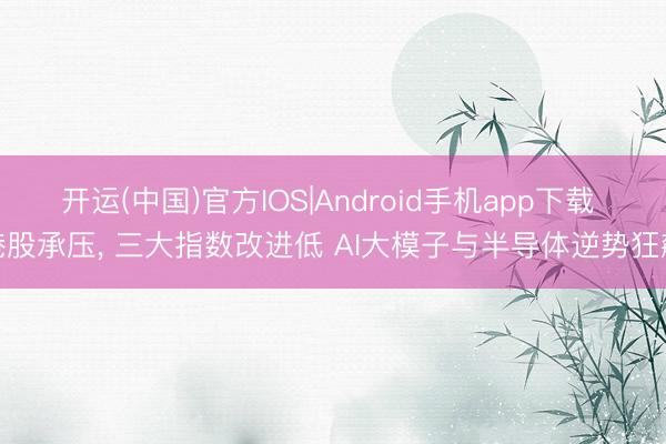 开运(中国)官方IOS|Android手机app下载 港股承压, 三大指数改进低 AI大模子与半导体逆势狂飙